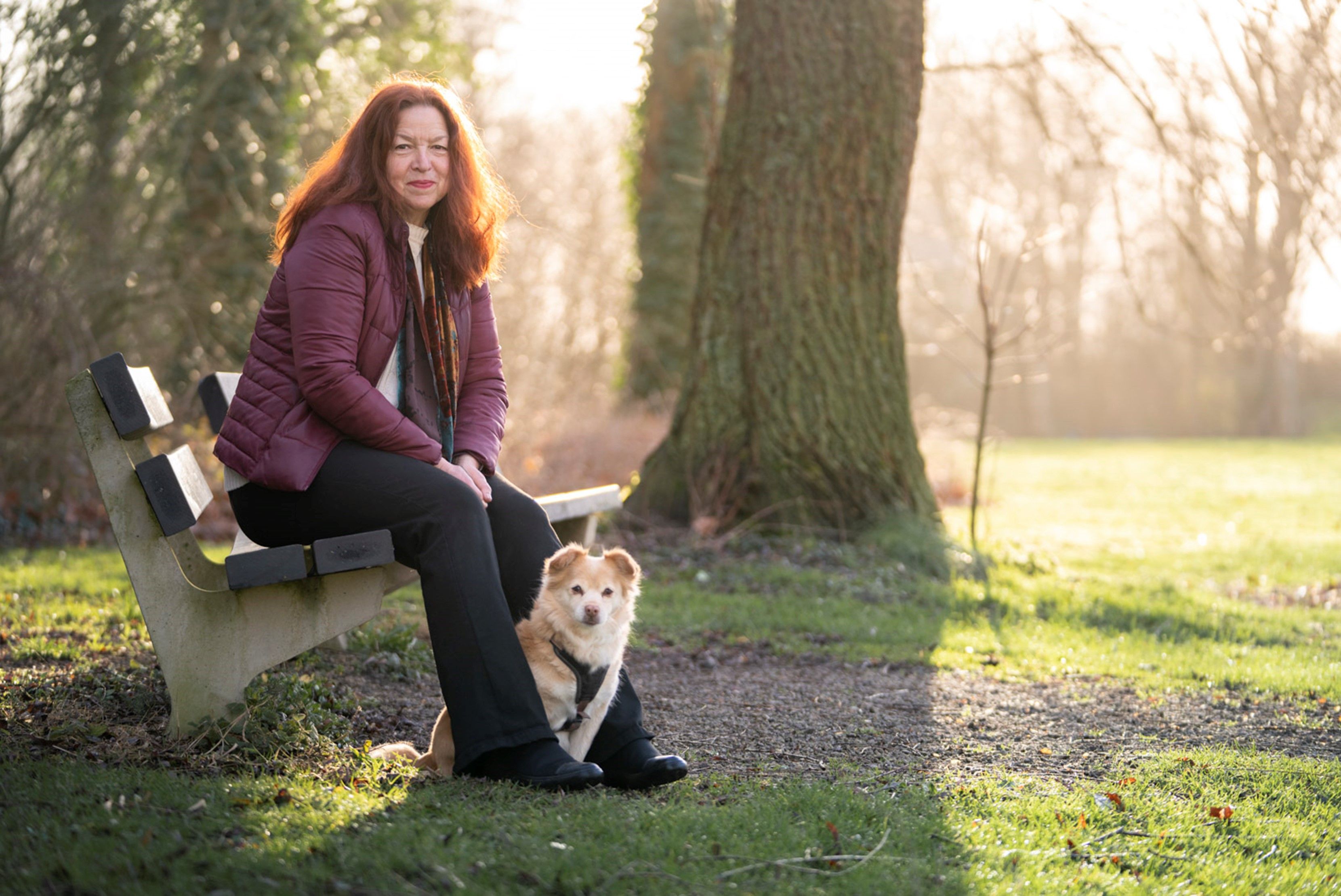 Spirit for Animals   Afscheidsbegeleiding & uitvaartverzorging voor dieren & rouw coaching Helpende hand bij het afscheid nemen van dieren.