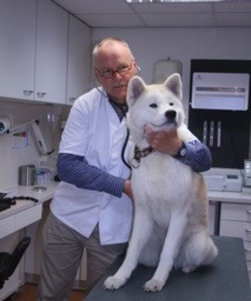 Interview met Henk den Hartog, dierenarts 